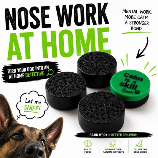 Dog Scent Work Training Pods: Calm Is a Skill Nose Work Kit